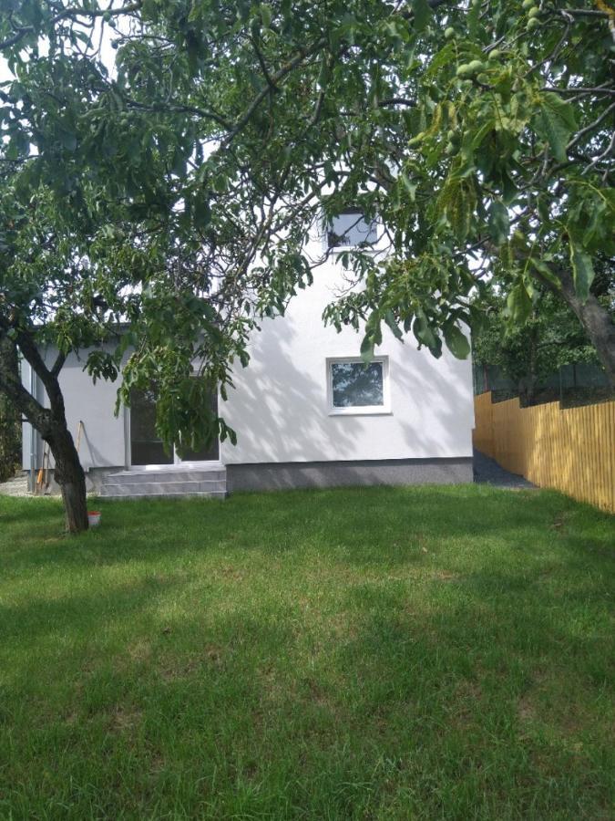 Dum V Brne Apartamento Brno Exterior foto